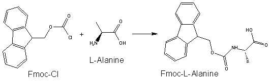 Fmoc Group