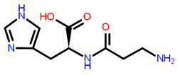 An example of dipeptide - carnosin