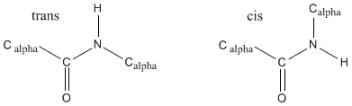 cis and trans peptide bond